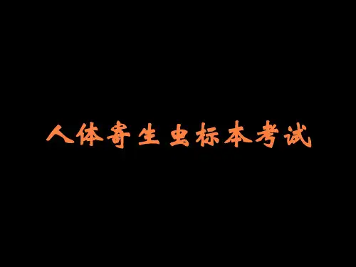 人体寄生虫标本考试