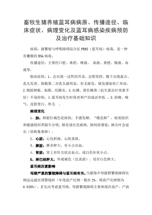 畜牧生猪养殖蓝耳病病原、传播途径、临床症状、病理变化及蓝耳病感染疾病预防及治疗基础知识