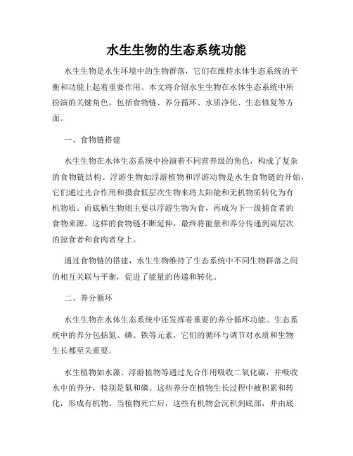 水生生物的生态系统功能
