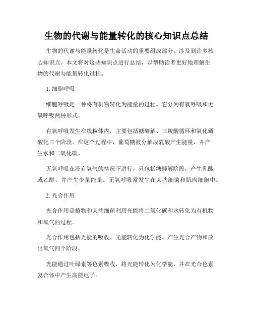 生物的代谢与能量转化的核心知识点总结