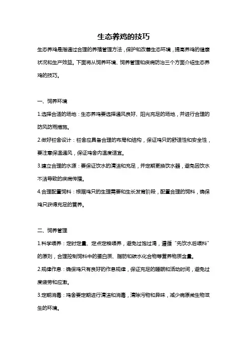 生态养鸡的技巧