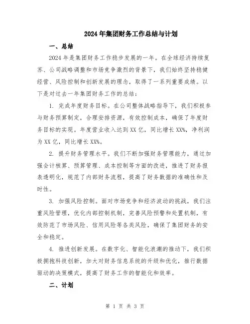 2024年集团财务工作总结与计划