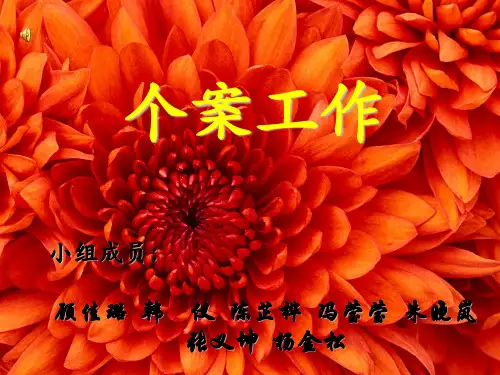 危机介入模式86745 ppt课件