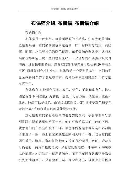 布偶猫介绍,布偶猫,布偶猫介绍
