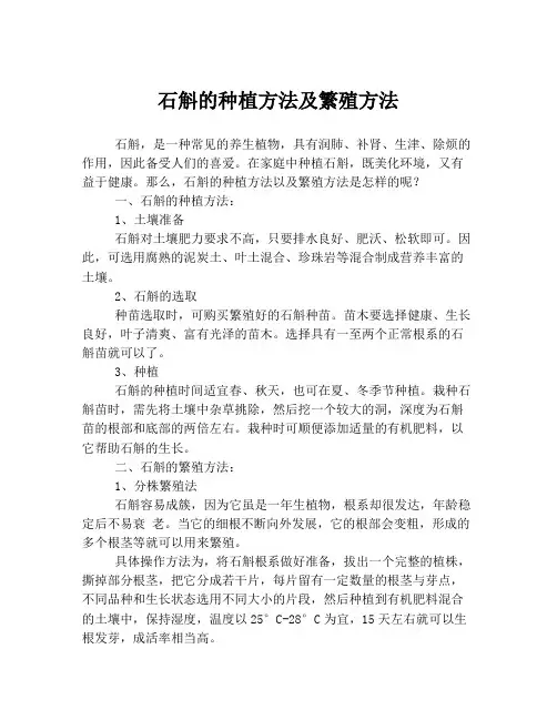 石斛的种植方法及繁殖方法