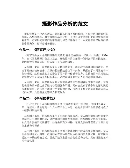 摄影作品分析的范文