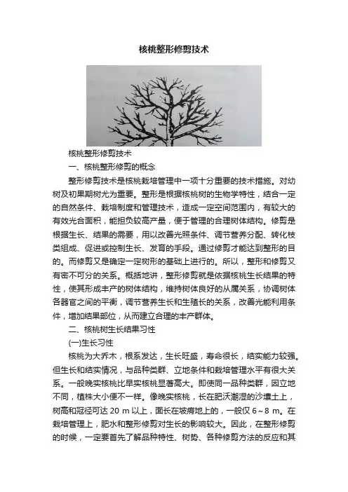核桃整形修剪技术