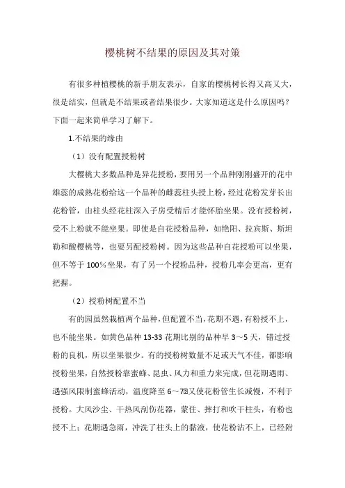 樱桃树不结果的原因及其对策