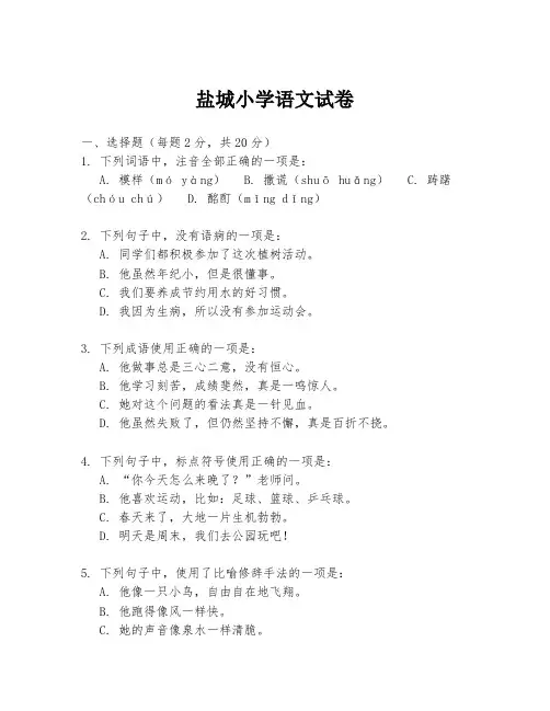 盐城小学语文试卷