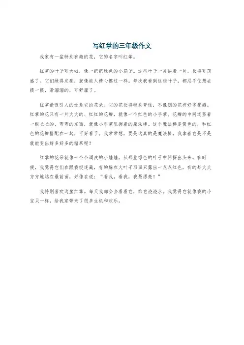 写红掌的三年级作文