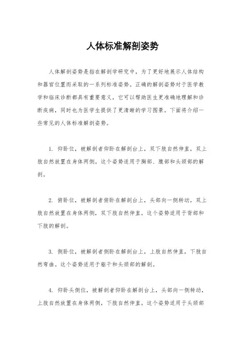 人体标准解剖姿势