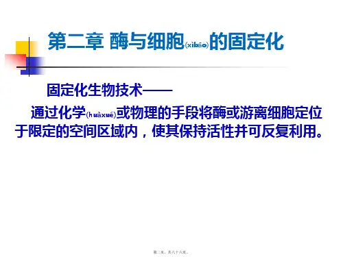 医学专题第二篇酶及细胞的固定化