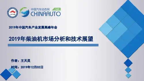 2019 年柴油机市场分析及技术展望(20页)