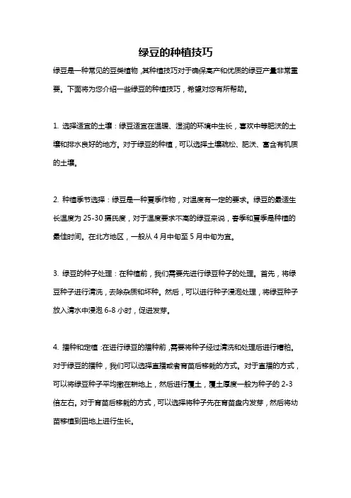 绿豆的种植技巧