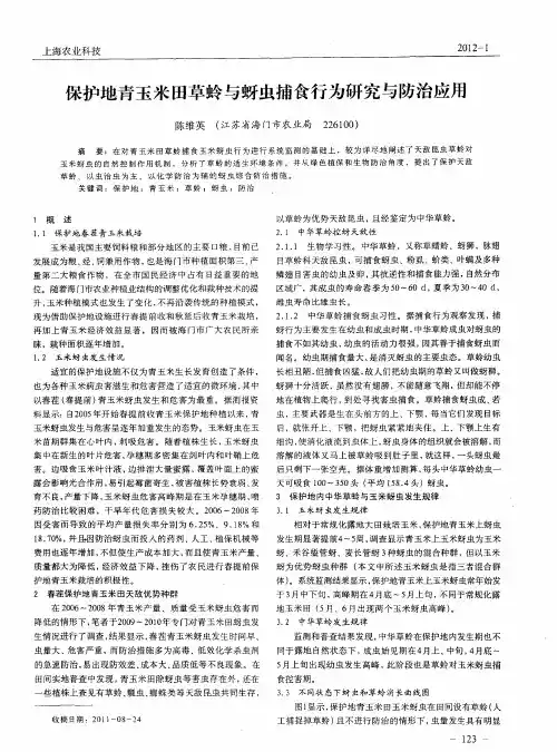 保护地青玉米田草蛉与蚜虫捕食行为研究与防治应用