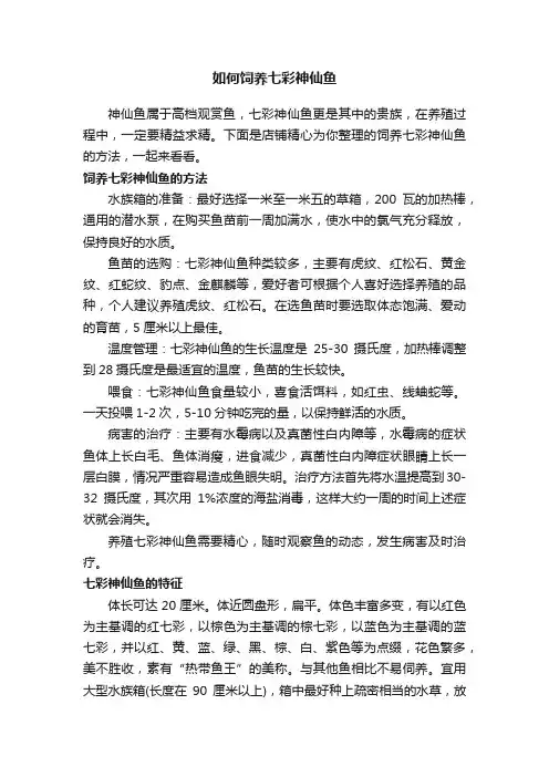 如何饲养七彩神仙鱼
