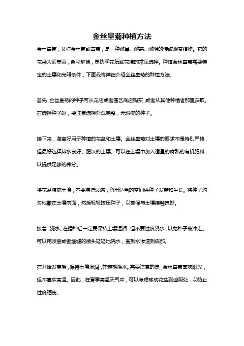 金丝皇菊种植方法