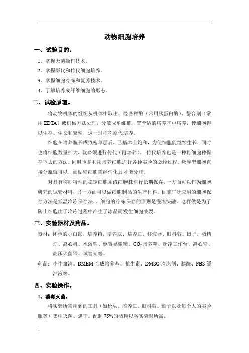 细胞培养实验报告