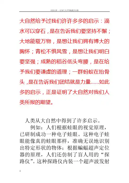 大自然给予过我们许许多多的启示