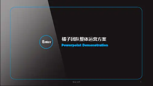 完整版整体运营方案.ppt