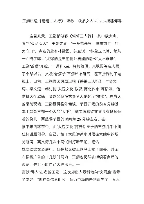王朔出镜《锵锵3人行》 爆砍 “极品女人”-H2O-搜狐博客