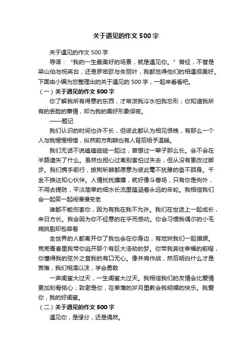 关于遇见的作文500字