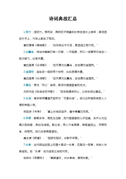 诗词典故汇总(比喻、拟人)