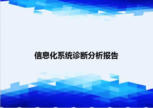 【信息化-精编】信息化系统诊断分析报告