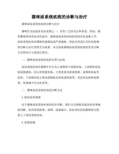 猫咪泌系统疾病的诊断与治疗