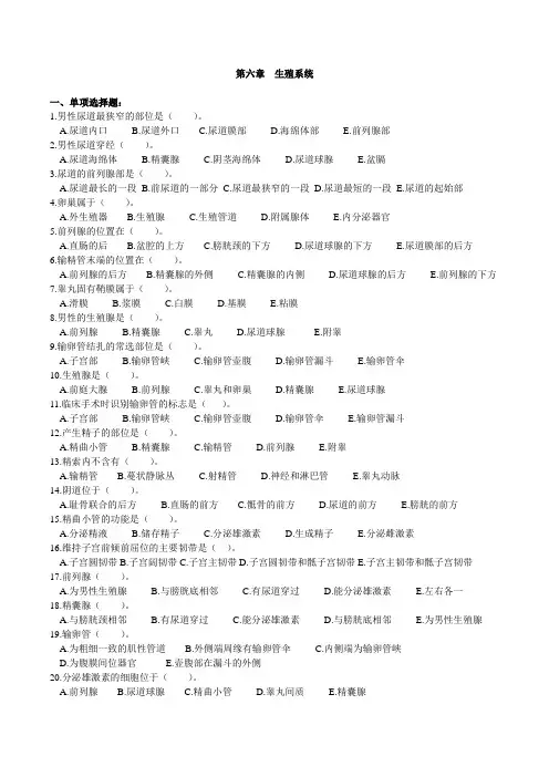 解剖学基础-第六章  生殖系统