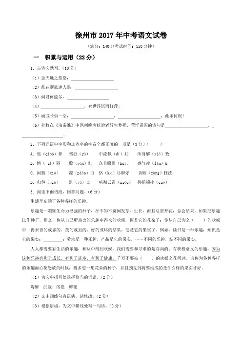 [历年真题]2017年江苏省徐州市中考语文试题(解析版)