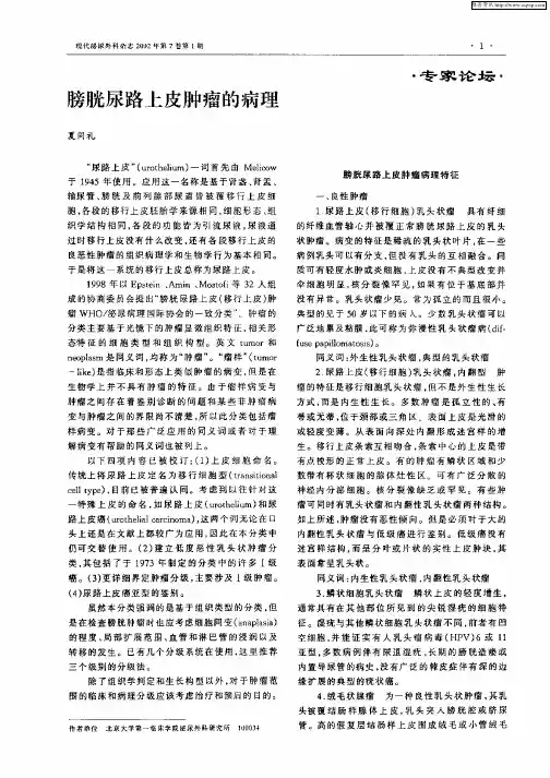 膀胱尿路上皮肿瘤的病理
