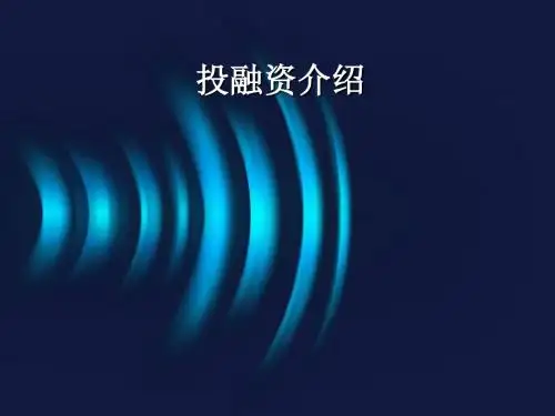 投融资模式介绍文档