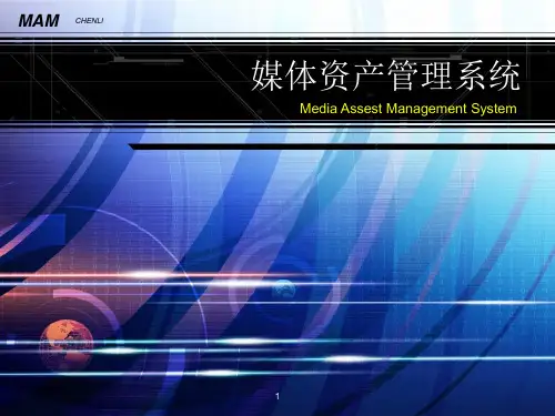 媒体资产管理系统(wll)