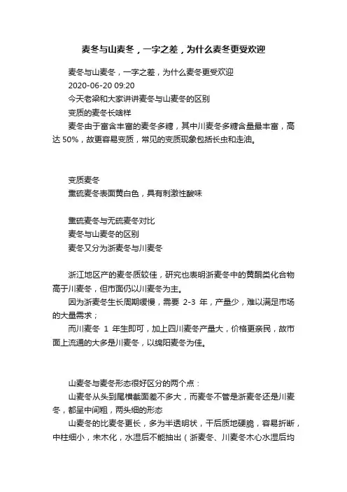 ?麦冬与山麦冬，一字之差，为什么麦冬更受欢迎