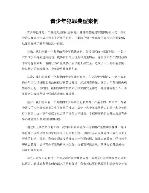 青少年犯罪典型案例