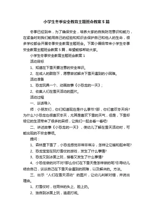 小学生冬季安全教育主题班会教案5篇