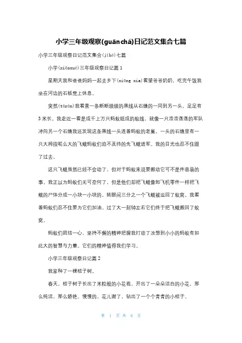 小学三年级观察日记范文集合七篇