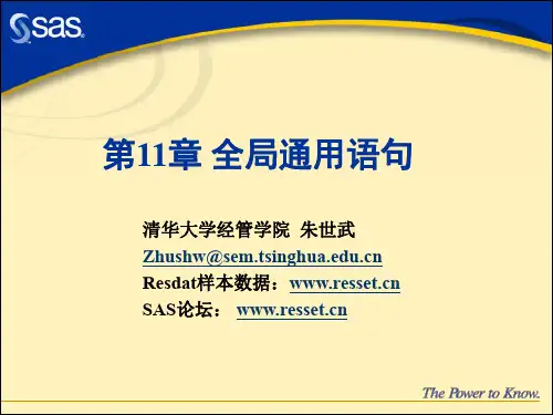 SAS编程技术教程 (13)