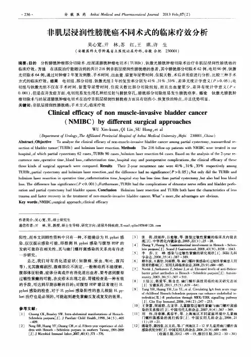 非肌层浸润性膀胱癌不同术式的临床疗效分析