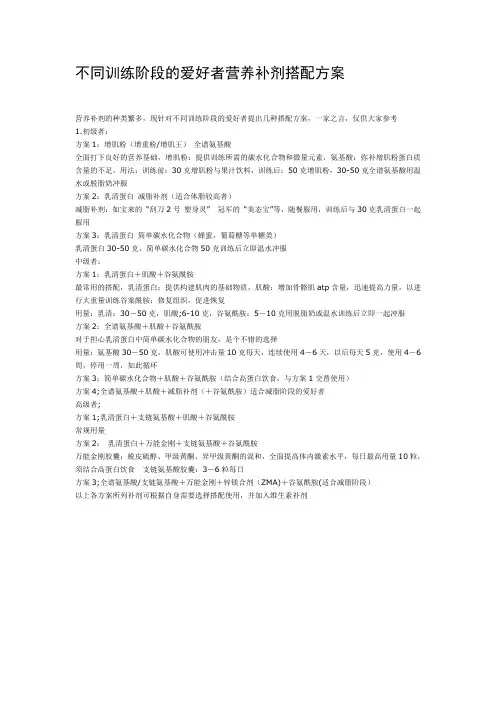 不同训练阶段的爱好者营养补剂搭配方案