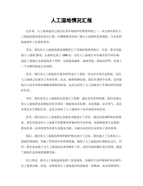 人工湿地情况汇报