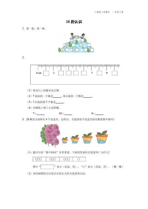 一年级-人教版-数学-上册-[综合训练] 10的认识