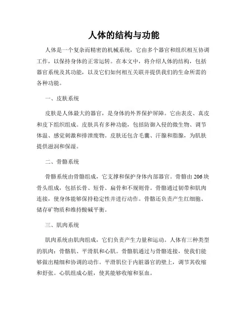 人体的结构与功能