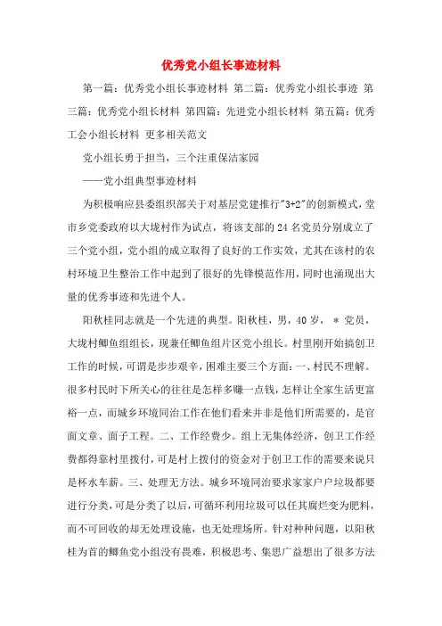 优秀党小组长事迹材料
