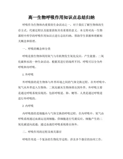 高一生物呼吸作用知识点总结归纳
