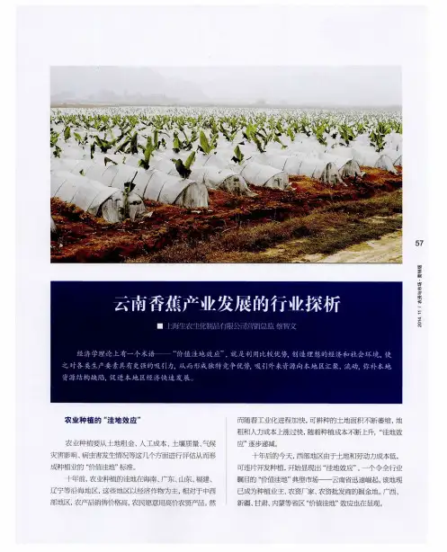 云南香蕉产业发展的行业探析