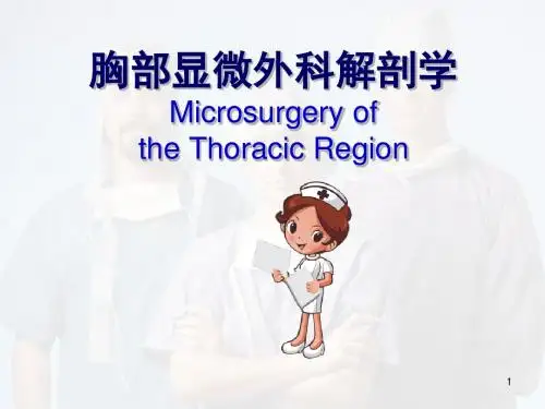 胸部皮肌皮瓣医学PPT课件