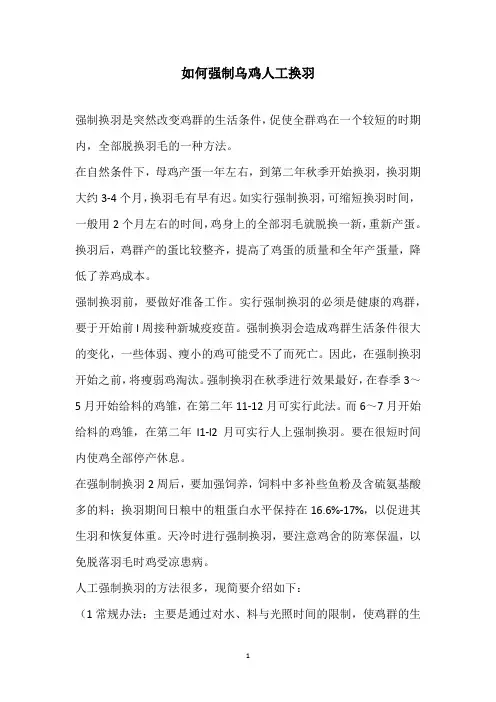 如何强制乌鸡人工换羽