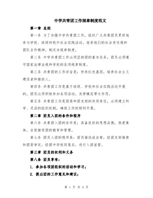 中学共青团工作规章制度范文